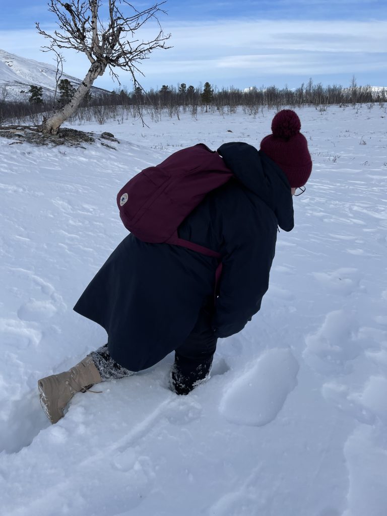 Struggling in the snow.